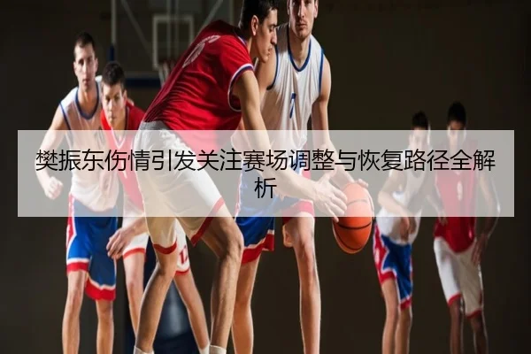 樊振东伤情引发关注赛场调整与恢复路径全解析