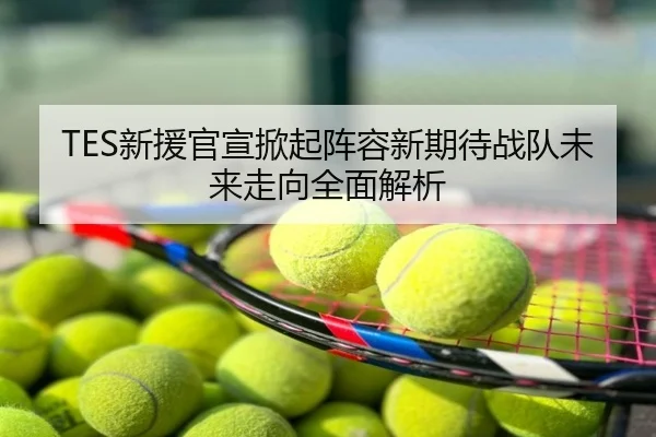 TES新援官宣掀起阵容新期待战队未来走向全面解析