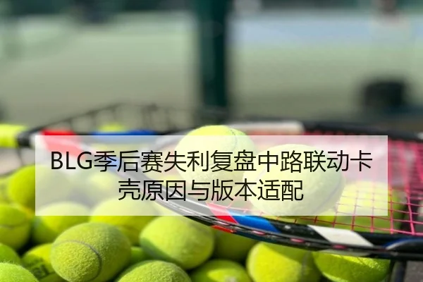 BLG季后赛失利复盘中路联动卡壳原因与版本适配